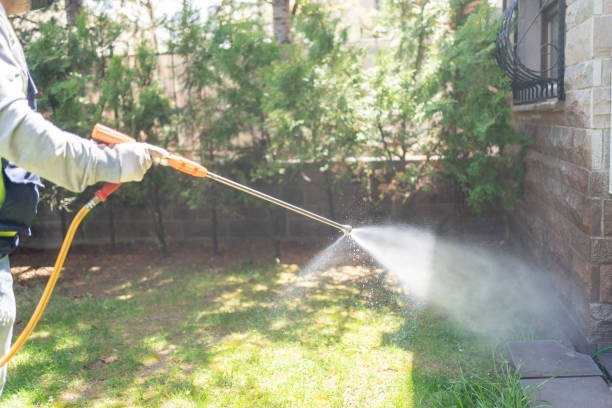 Best Fumigation Services  in Thiells, NY